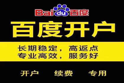 百度竞价托管：案例中的策略调整